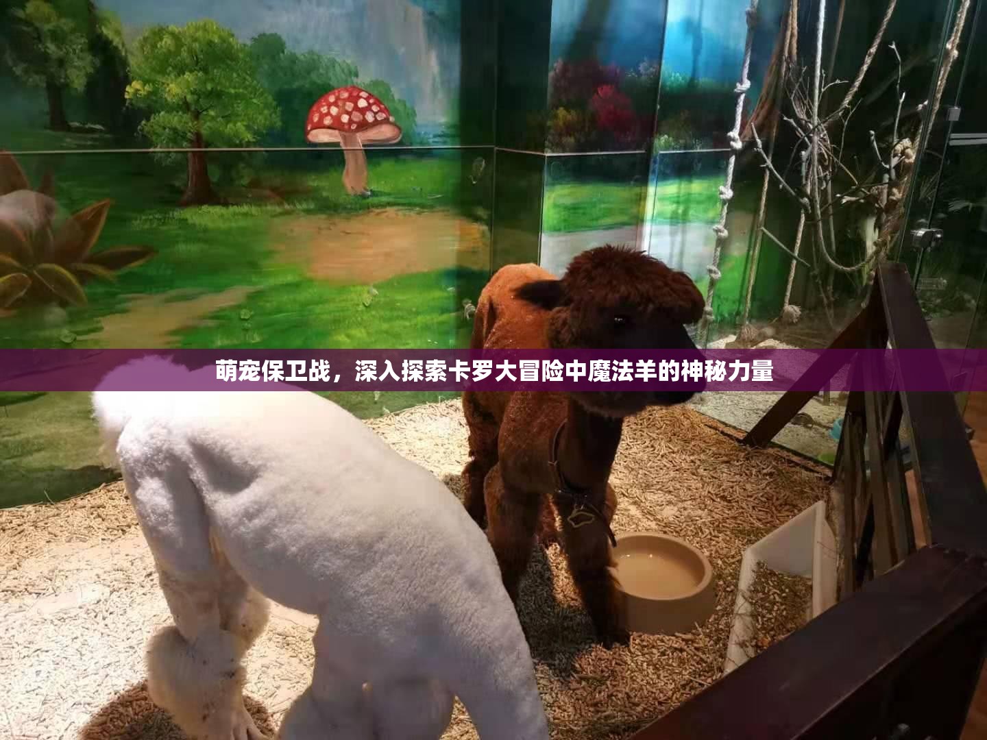 萌宠保卫战，深入探索卡罗大冒险中魔法羊的神秘力量