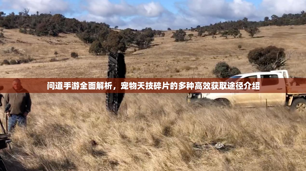 问道手游全面解析，宠物天技碎片的多种高效获取途径介绍