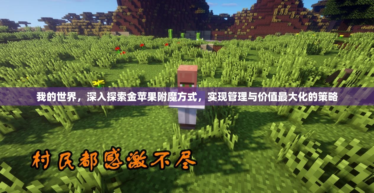 我的世界，深入探索金苹果附魔方式，实现管理与价值最大化的策略