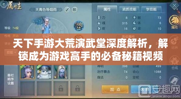 天下手游大荒演武堂深度解析，解锁成为游戏高手的必备秘籍视频