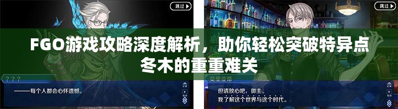 FGO游戏攻略深度解析，助你轻松突破特异点冬木的重重难关
