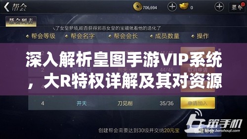 深入解析皇图手游VIP系统，大R特权详解及其对资源管理策略的关键影响