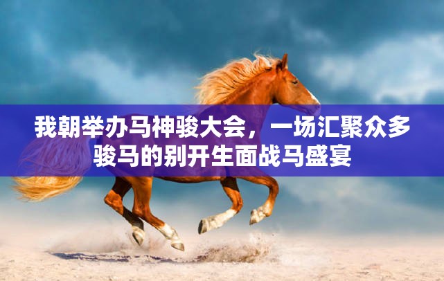 我朝举办马神骏大会，一场汇聚众多骏马的别开生面战马盛宴