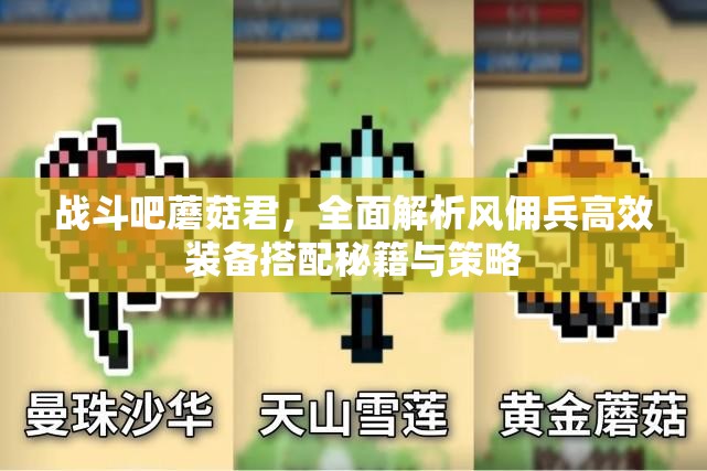 战斗吧蘑菇君，全面解析风佣兵高效装备搭配秘籍与策略