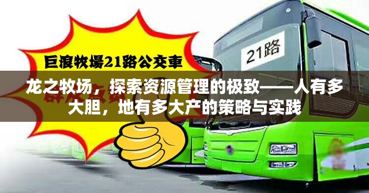 龙之牧场，探索资源管理的极致——人有多大胆，地有多大产的策略与实践