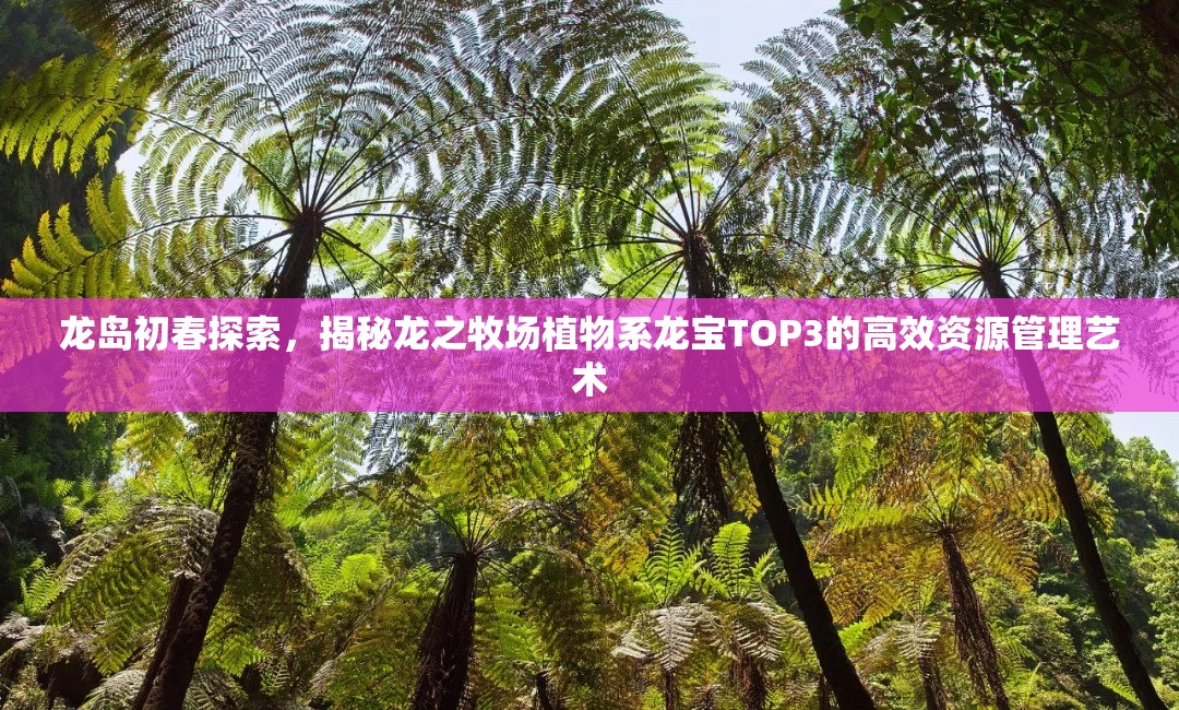 龙岛初春探索，揭秘龙之牧场植物系龙宝TOP3的高效资源管理艺术
