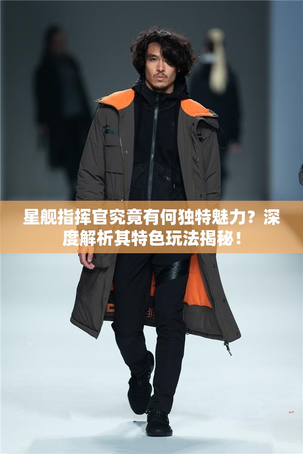 星舰指挥官究竟有何独特魅力？深度解析其特色玩法揭秘！