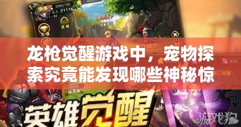龙枪觉醒游戏中，宠物探索究竟能发现哪些神秘惊喜？