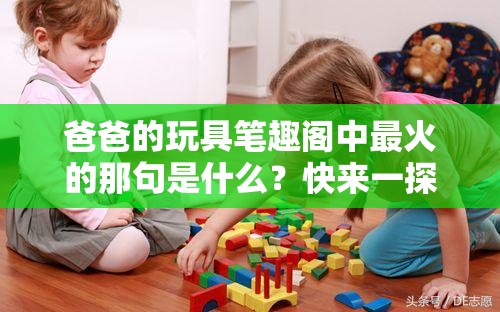 爸爸的玩具笔趣阁中最火的那句是什么？快来一探究竟