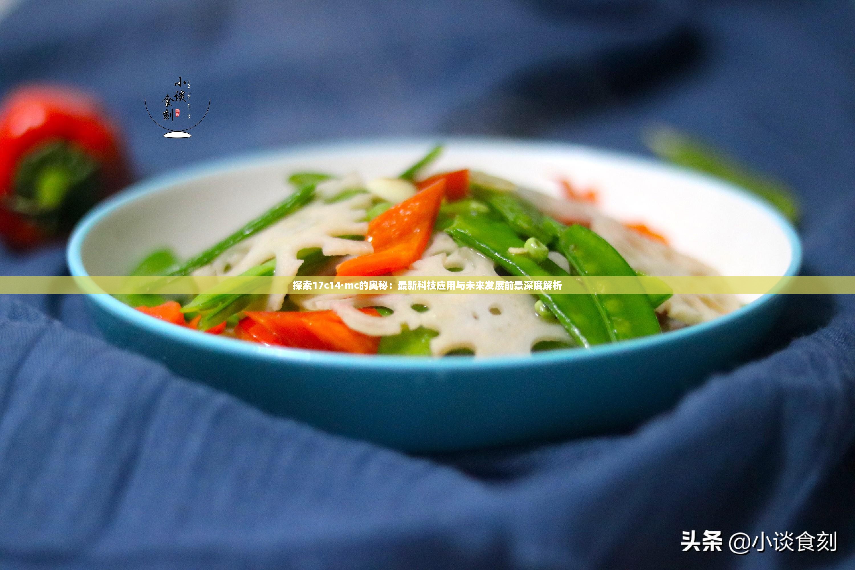 探索17c14·mc的奥秘：最新科技应用与未来发展前景深度解析