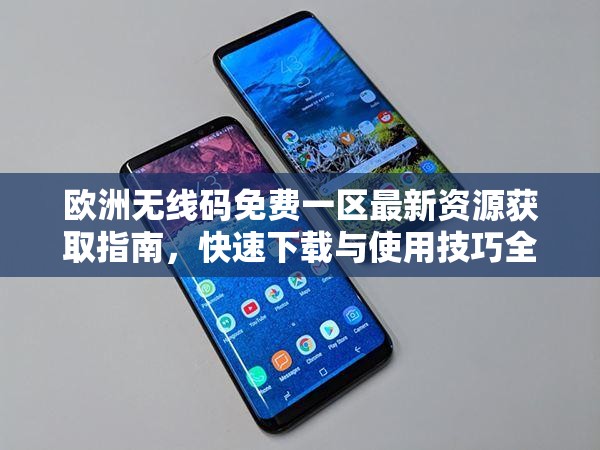欧洲无线码免费一区最新资源获取指南，快速下载与使用技巧全解析