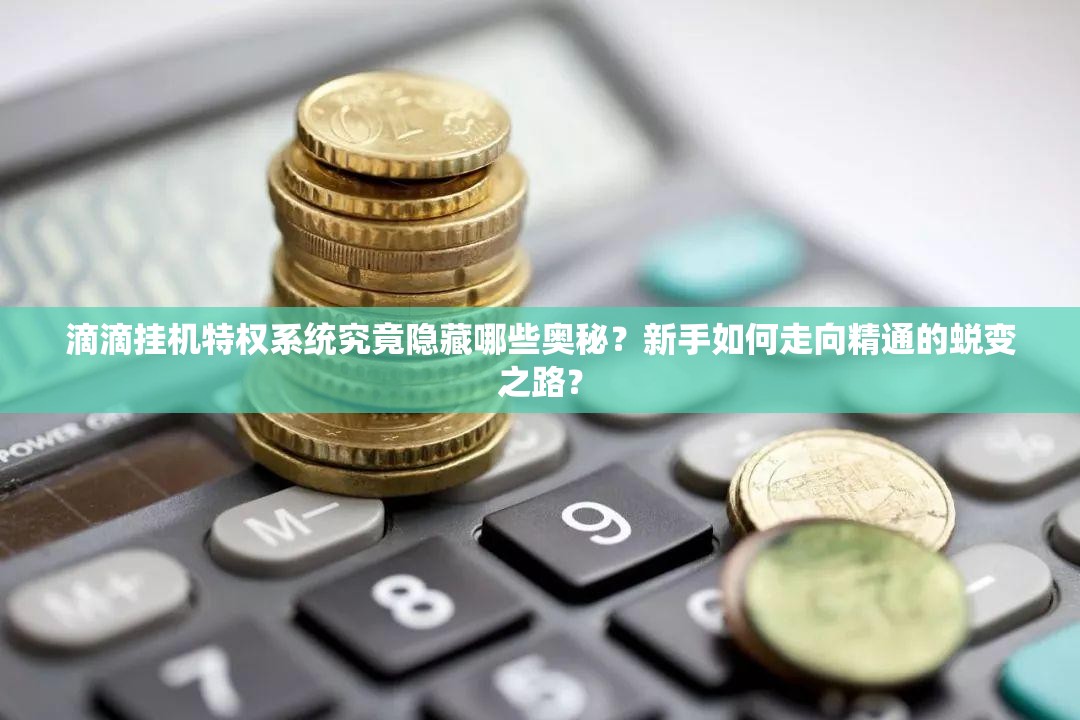 滴滴挂机特权系统究竟隐藏哪些奥秘？新手如何走向精通的蜕变之路？