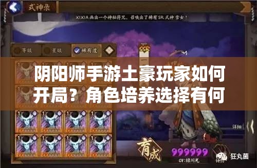 阴阳师手游土豪玩家如何开局？角色培养选择有何推荐悬念？
