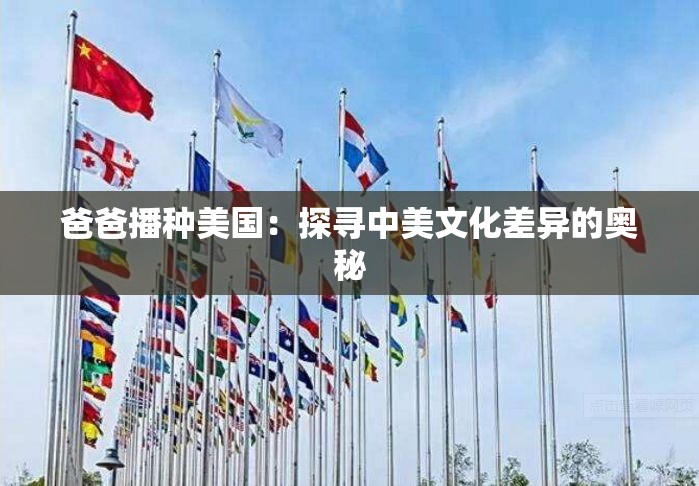 爸爸播种美国：探寻中美文化差异的奥秘