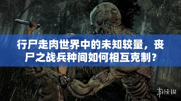 行尸走肉世界中的未知较量，丧尸之战兵种间如何相互克制？
