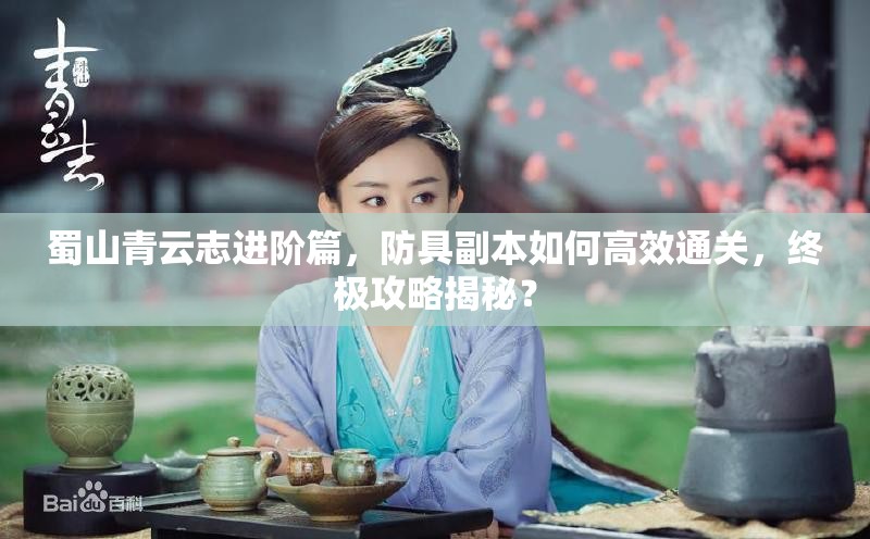 蜀山青云志进阶篇，防具副本如何高效通关，终极攻略揭秘？