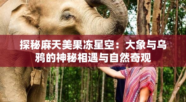 探秘麻天美果冻星空：大象与乌鸦的神秘相遇与自然奇观