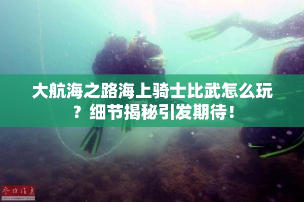 大航海之路海上骑士比武怎么玩？细节揭秘引发期待！