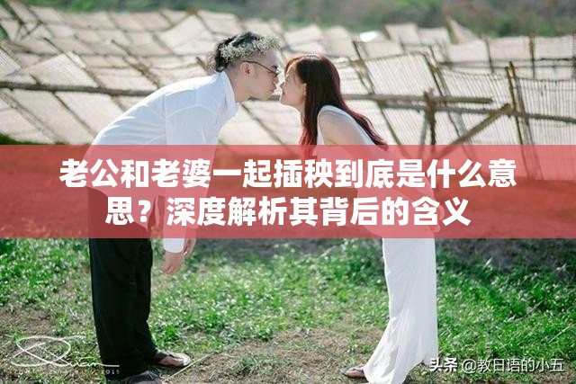 老公和老婆一起插秧到底是什么意思？深度解析其背后的含义