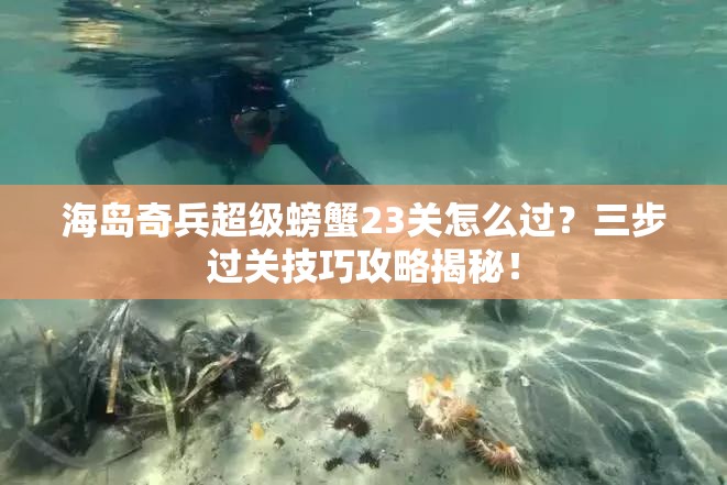 海岛奇兵超级螃蟹23关怎么过？三步过关技巧攻略揭秘！