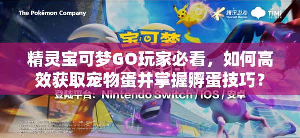 精灵宝可梦GO玩家必看，如何高效获取宠物蛋并掌握孵蛋技巧？