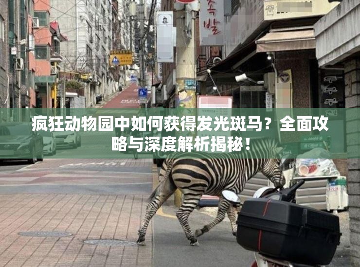 疯狂动物园中如何获得发光斑马？全面攻略与深度解析揭秘！
