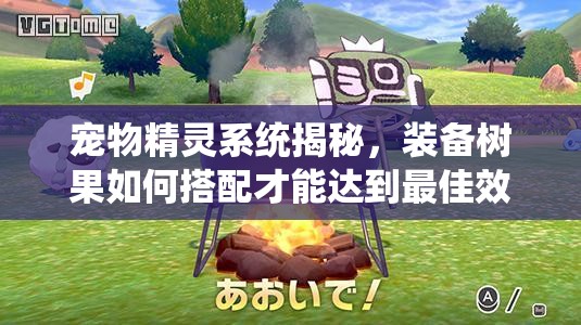 宠物精灵系统揭秘，装备树果如何搭配才能达到最佳效果？