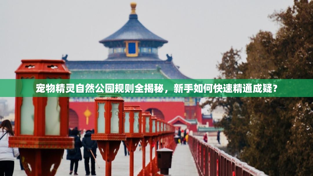 宠物精灵自然公园规则全揭秘，新手如何快速精通成疑？