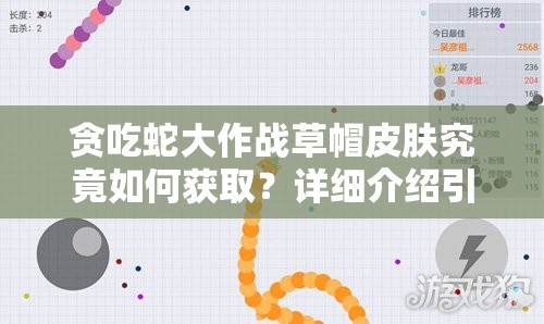 贪吃蛇大作战草帽皮肤究竟如何获取？详细介绍引悬念！