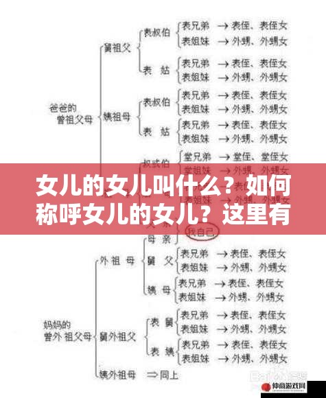 女儿的女儿叫什么？如何称呼女儿的女儿？这里有详细解答
