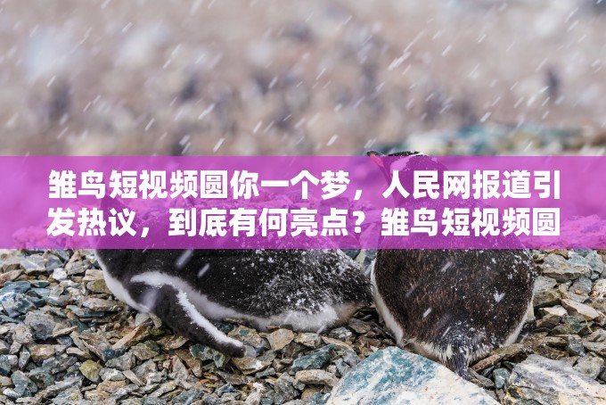 雏鸟短视频圆你一个梦，人民网报道引发热议，到底有何亮点？雏鸟短视频圆你一个梦，人民网关注，背后的原因你知道吗？人民网报道雏鸟短视频圆你一个梦，它为何能引发大众关注？