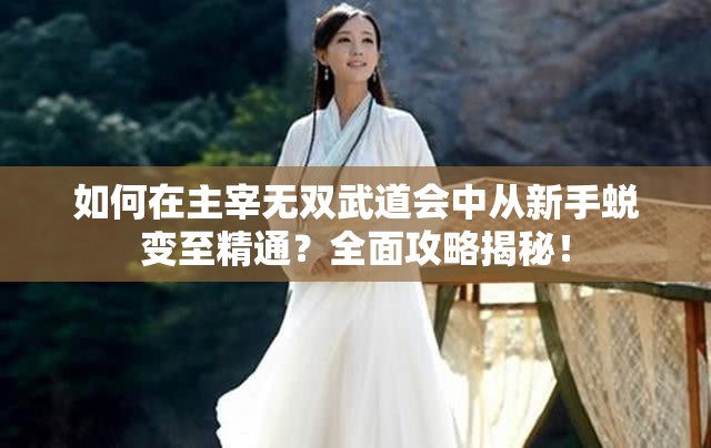 如何在主宰无双武道会中从新手蜕变至精通？全面攻略揭秘！