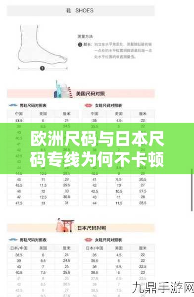 欧洲尺码与日本尺码专线为何不卡顿？探索其背后原因大揭秘