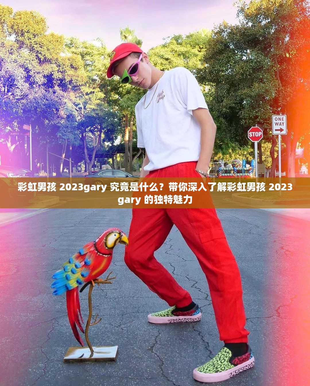 彩虹男孩 2023gary 究竟是什么？带你深入了解彩虹男孩 2023gary 的独特魅力