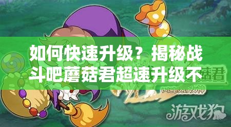 如何快速升级？揭秘战斗吧蘑菇君超速升级不为人知的秘籍！