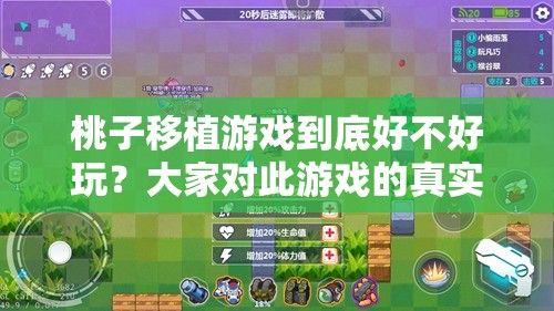 桃子移植游戏到底好不好玩？大家对此游戏的真实评价如何？需要提醒的是，这类游戏可能涉及到版权问题或其他不合法的内容，不建议进行游玩和传播