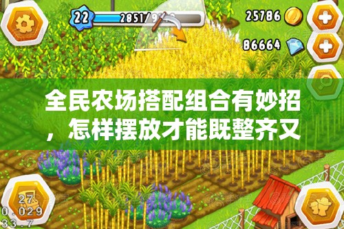 全民农场搭配组合有妙招，怎样摆放才能既整齐又美观呢？
