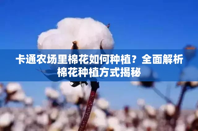卡通农场里棉花如何种植？全面解析棉花种植方式揭秘