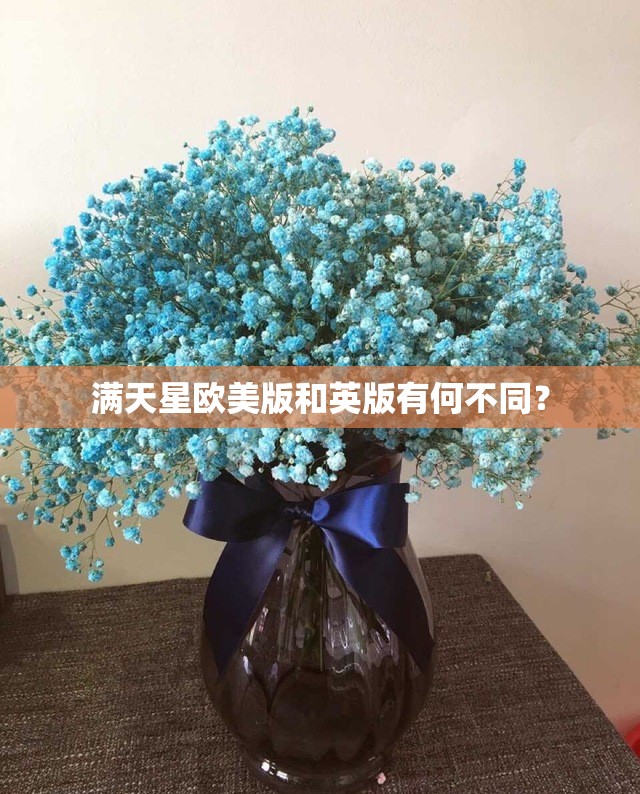 满天星欧美版和英版有何不同？