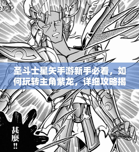 圣斗士星矢手游新手必看，如何玩转主角紫龙，详细攻略揭秘？