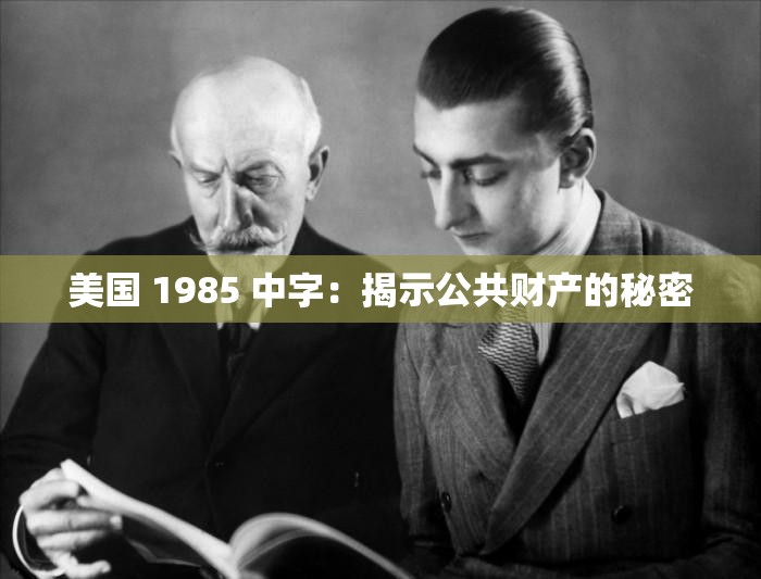 美国 1985 中字：揭示公共财产的秘密