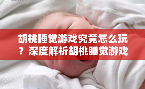 胡桃睡觉游戏究竟怎么玩？深度解析胡桃睡觉游戏的玩法与魅力