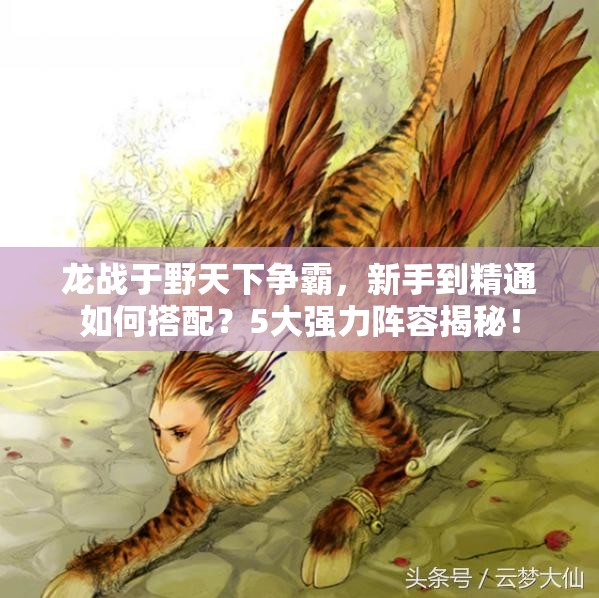 龙战于野天下争霸，新手到精通如何搭配？5大强力阵容揭秘！