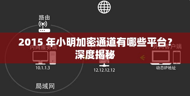 2015 年小明加密通道有哪些平台？深度揭秘