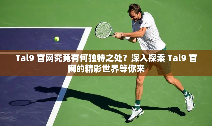Tal9 官网究竟有何独特之处？深入探索 Tal9 官网的精彩世界等你来