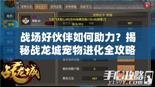 战场好伙伴如何助力？揭秘战龙城宠物进化全攻略