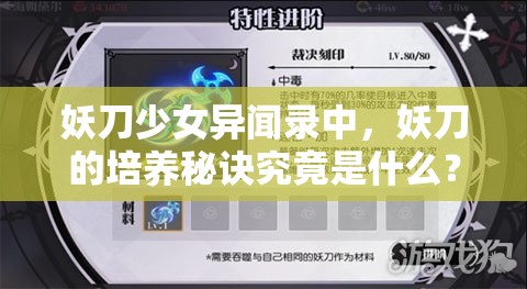 妖刀少女异闻录中，妖刀的培养秘诀究竟是什么？