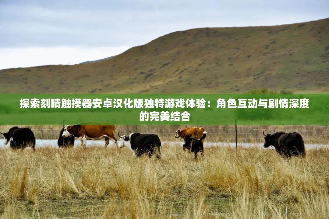 探索刻晴触摸器安卓汉化版独特游戏体验：角色互动与剧情深度的完美结合