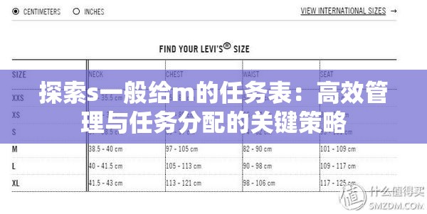 探索s一般给m的任务表：高效管理与任务分配的关键策略