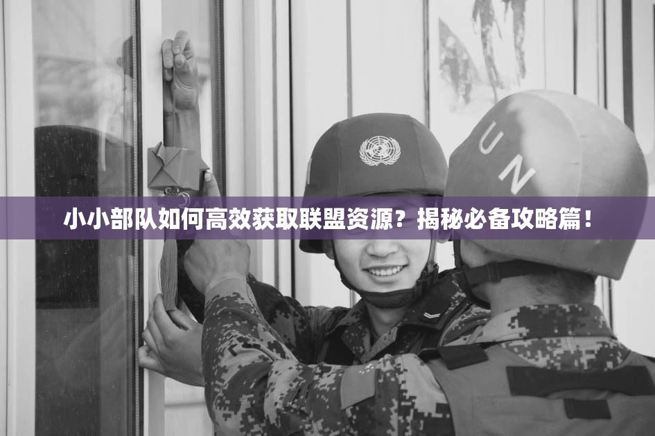 小小部队如何高效获取联盟资源？揭秘必备攻略篇！